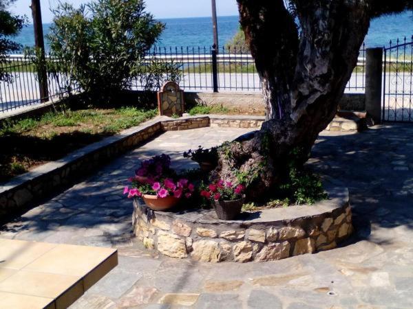 Aegialis Skala Kallirachis Exterior foto